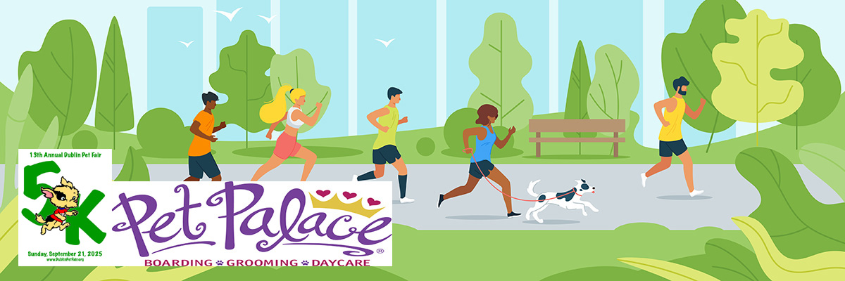 Dublin Pet Fair Race by Pet Palace