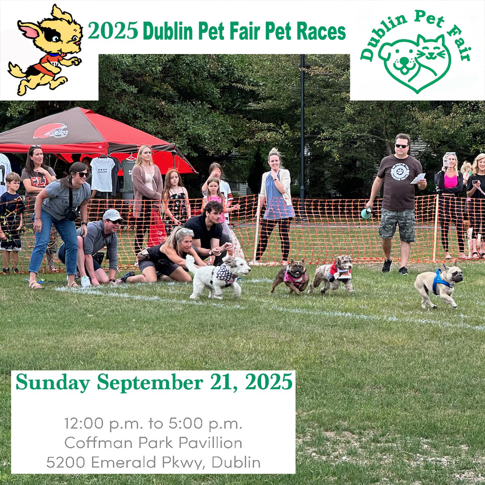 DPF Race 2025 DPF Race 2025