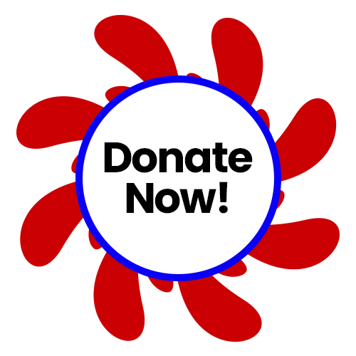 donate button