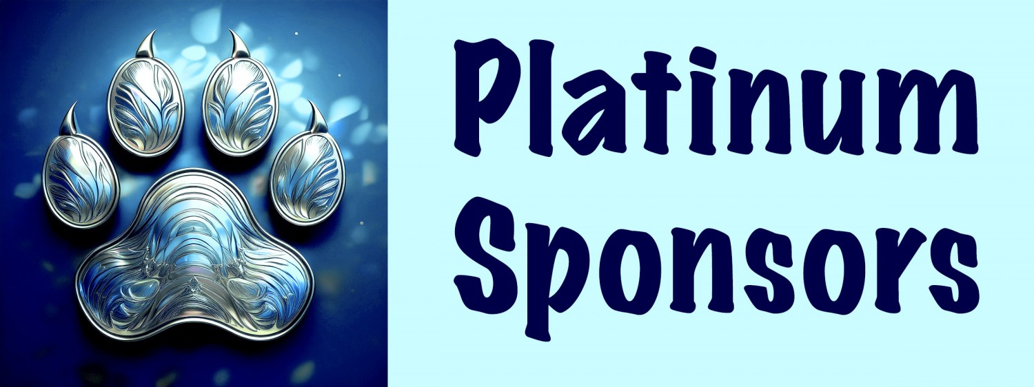 Platinum Sponsor Banner