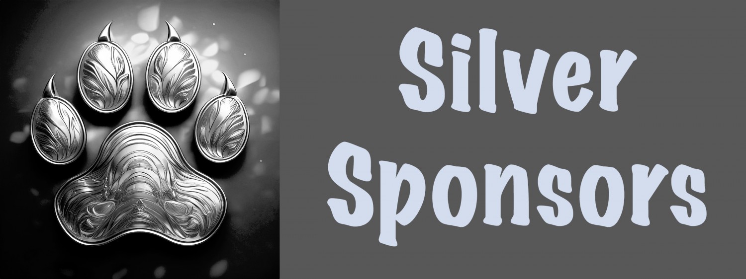 Silver Sponsor Banner Silver Sponsor Banner