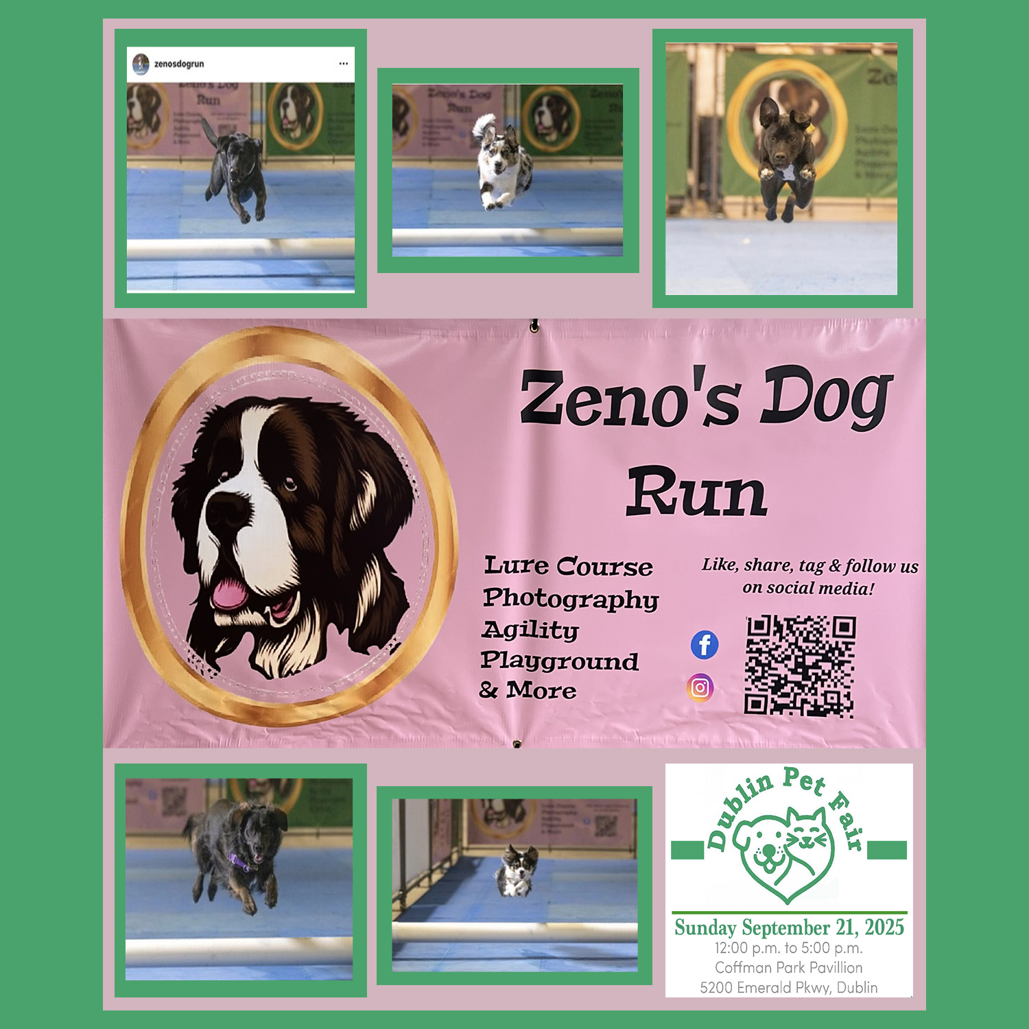 Zeno's Dog Run Zeno's Dog Run