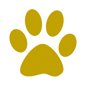 gold paw