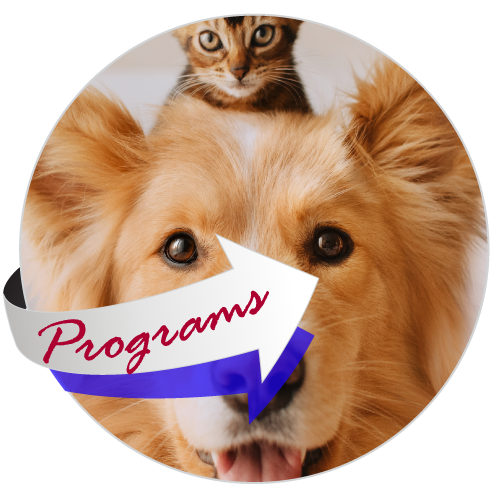 programs